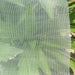 60/80/100Mesh Gardening Net Insect Net Bird Net Mist Net Nylon Net Protection Net Greenhouse Fruit Vegetable For Chicken Dog Cat The Greenhouse Pros