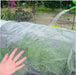 60/80/100Mesh Gardening Net Insect Net Bird Net Mist Net Nylon Net Protection Net Greenhouse Fruit Vegetable For Chicken Dog Cat The Greenhouse Pros