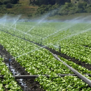 360 Agricultural Greenhouse Mobile Irrigation Water Sprinkler My Store