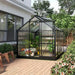 6.2'x8.3'x6.6' Gray Polycarbonate Greenhouse, Heavy Duty Outdoor Aluminum Walk-in Green House Kit Vent Door For backyard gardens My Store