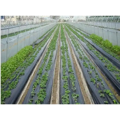 Black Agricultural Weed Mat Ground Cover for Greenhouse Garden My Store