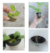 Grow Fresh Vegetables at Home with Our Customizable Hydroponic Tower Kit - Contact Us Now! - The Greenhouse Pros