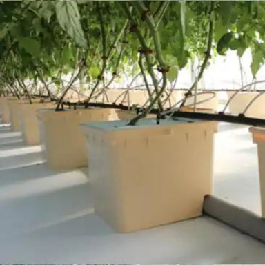 Hydroponic Growing System for Tomatoes and Cucumber Farming My Store