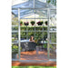 Palram - Canopia Americana 12' x 12' Greenhouse | HG5212 Palram