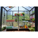Palram - Canopia Glory 8' x 8' Greenhouse | HG5608 Palram