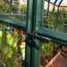 Palram - Canopia Grand Gardener 8' x 8' Greenhouse - Clear | HG7208C Palram