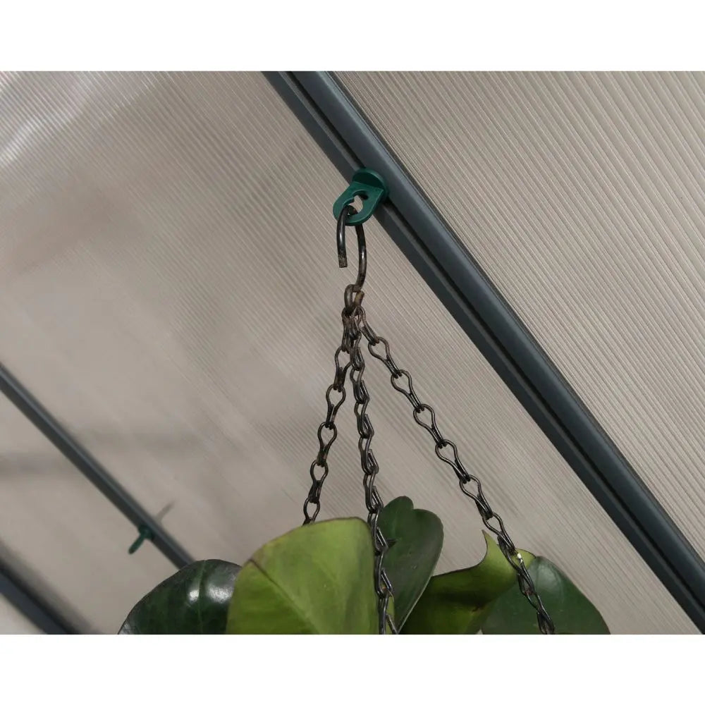 Palram - Canopia Greenhouse Plant Hangers | HG1010 - The Greenhouse Pros
