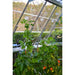 Palram - Canopia Greenhouse Trellising Kit | HG1024 Palram