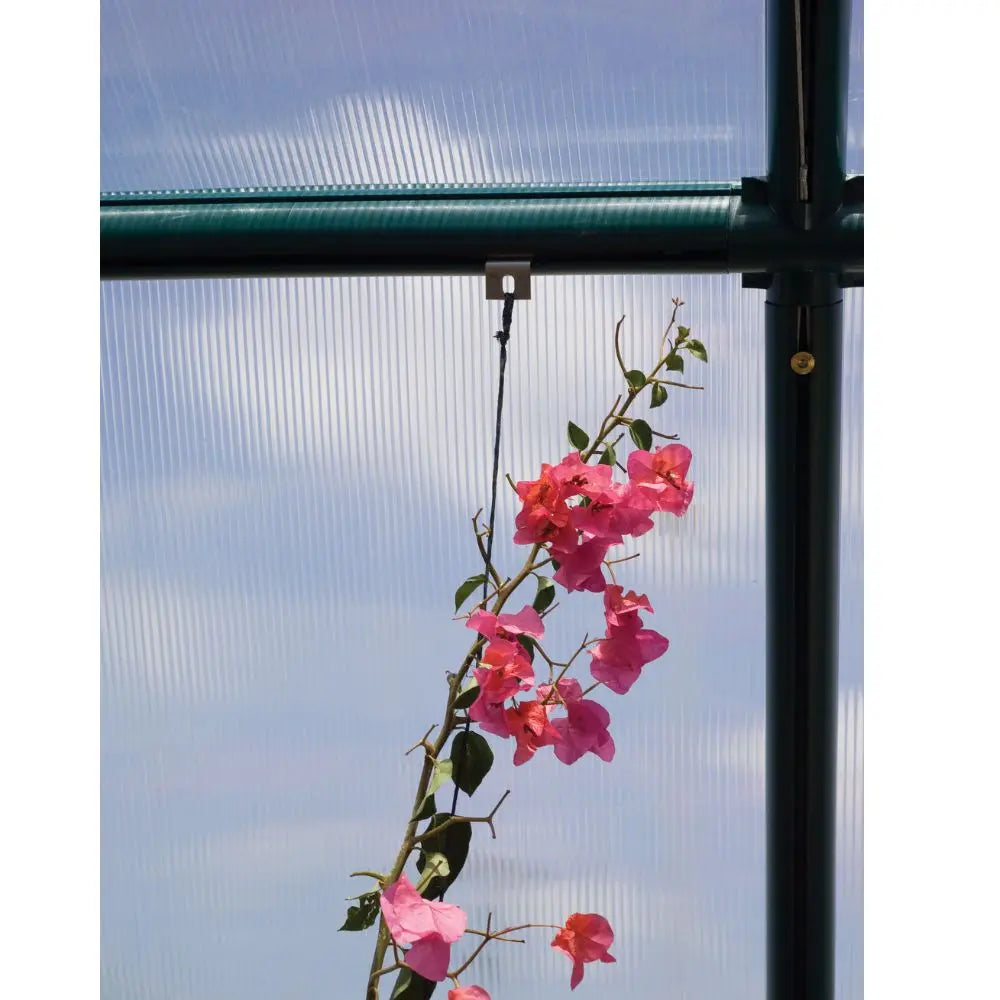 Palram - Canopia Hanging & Anchoring Kit for Prestige Greenhouses | HG1025 - The Greenhouse Pros