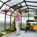 Palram - Canopia Hobby Gardener 8' x 8' Greenhouse | HG7108 Palram