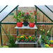 Palram - Canopia Hybrid 6' x 4' Greenhouse - Green | HG5504G - The Greenhouse Pros