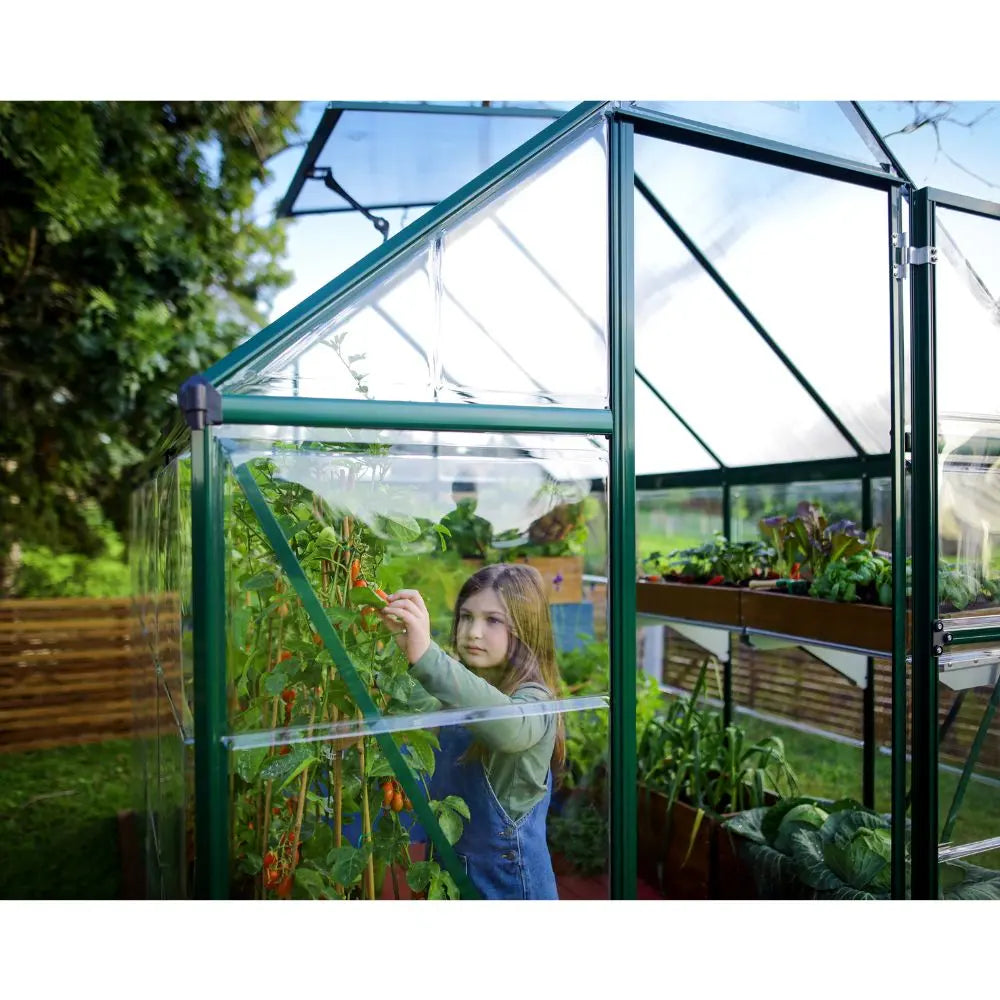 Palram - Canopia Hybrid 6' x 4' Greenhouse - Green | HG5504G - The Greenhouse Pros