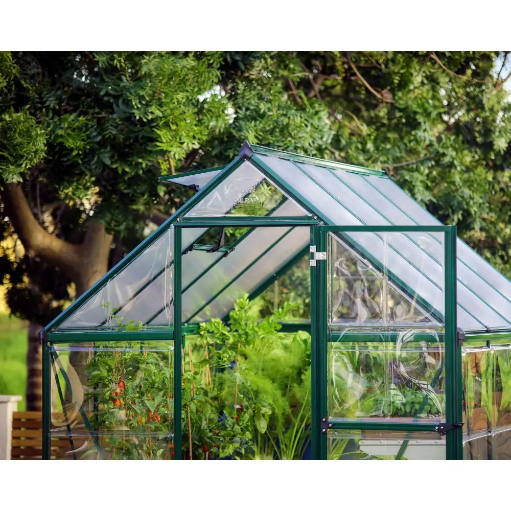 Palram - Canopia Hybrid 6' x 8' Greenhouse - Green | HG5508G-1B Palram