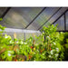 Palram Canopia Mythos 6' x 10' Gray Greenhouse | HG5010Y Palram
