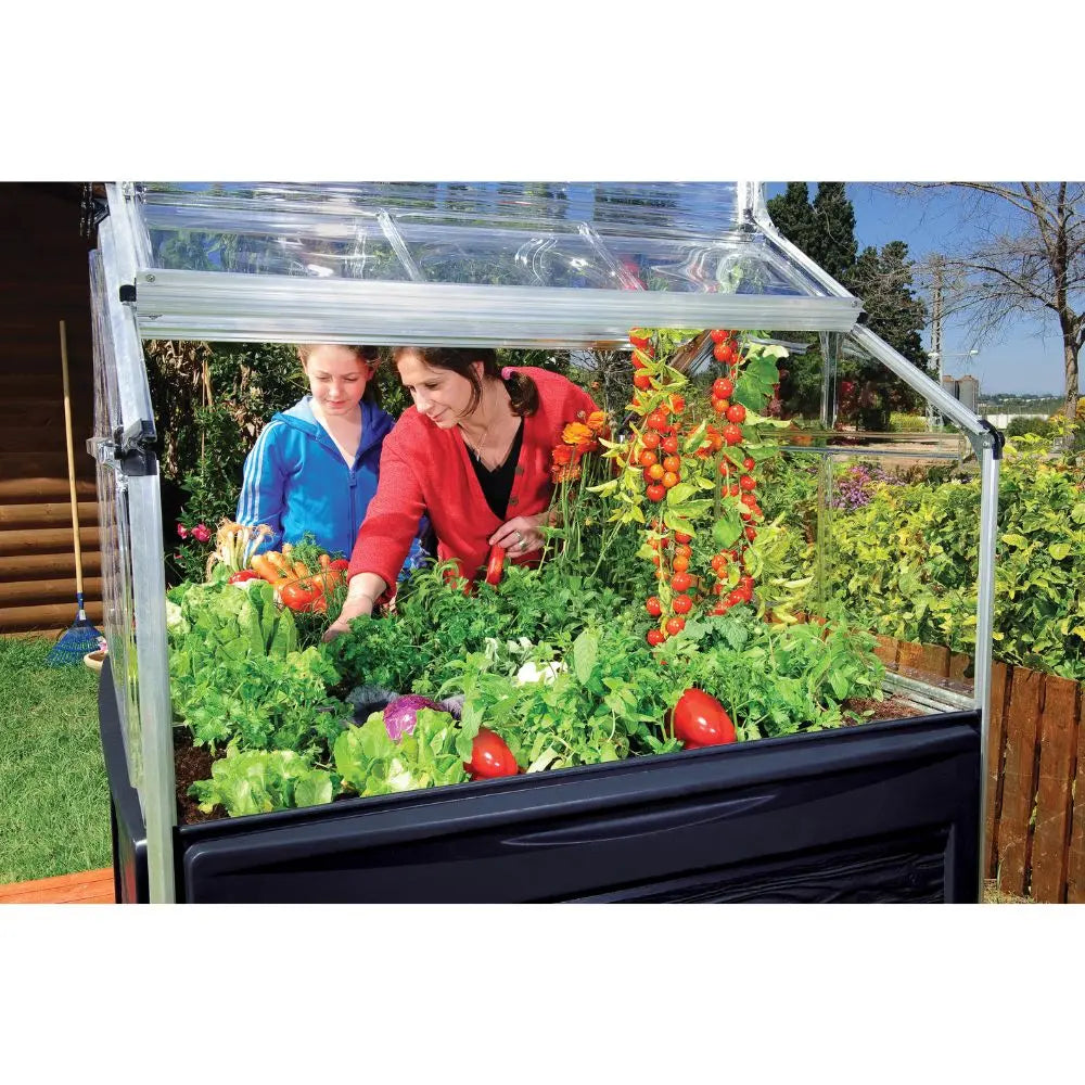 Palram - Canopia Plant Inn™ 4' x 4' Raised Garden Bed | HG3320 Palram