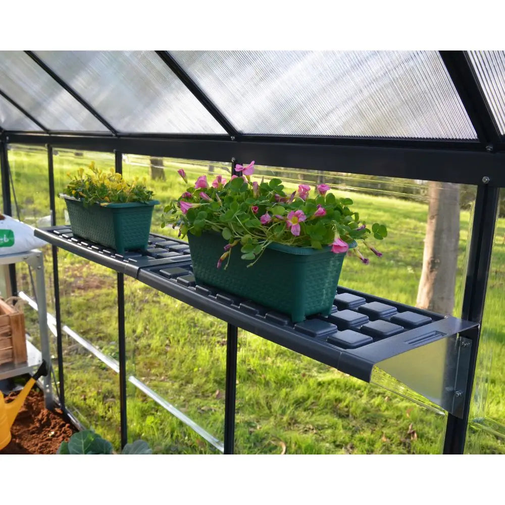 Palram - Canopia Shelf Kit for Most Canopia Greenhouses | HG1007 Palram