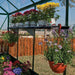 Palram - Canopia Shelf Kit for Most Canopia Greenhouses | HG1007 Palram