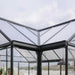 Palram - Canopia Triomphe Chalet 12' x 15' Greenhouse | HG5500 Palram