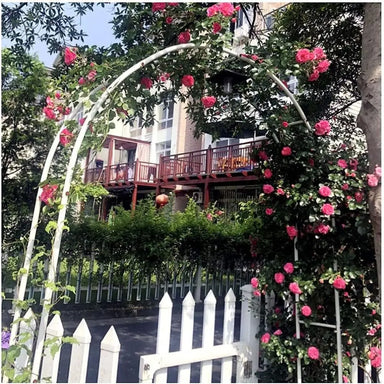 Steel Frame Garden Arch for Climbing Plants My Store