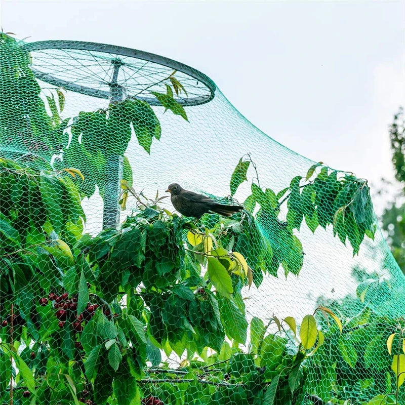 20/10M Anti Bird Protection Net Mesh Garden Plant Netting Protect Plants and Fruit Trees from Birds Deer Poultry Best Fencing - The Greenhouse Pros