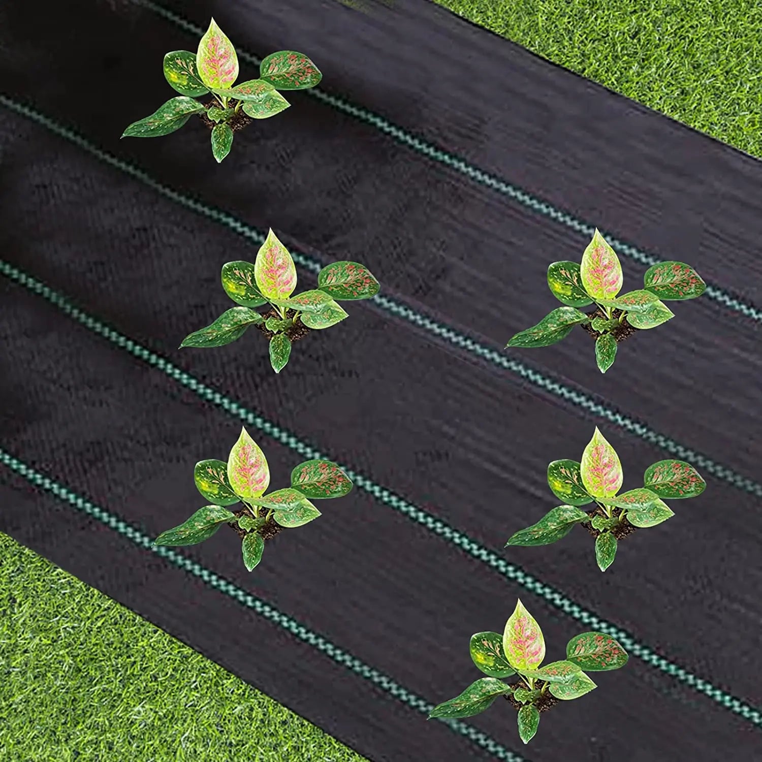 Weed Barrier Fabric Heavy Duty, Woven Weed Control Fabric, Non-Slip Outdoor Rubber Floor Mats, Weed Block Polyethylene Ground Co - The Greenhouse Pros