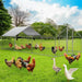 Large Metal Chicken Coop Run for 15/25 Chickens, Duck Coop/House, Walk-in Chicken Runs for Yard, Chicken Cage/ The Greenhouse Pros